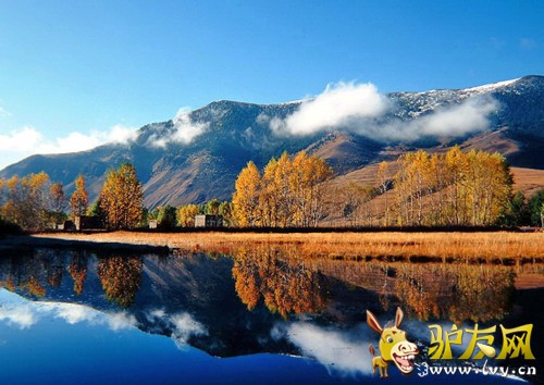 f13ca845d688d43f8a6dd097751ed21b二.jpg